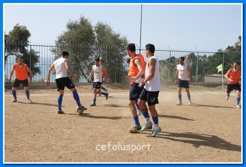130409 delfini 014_tn.jpg
